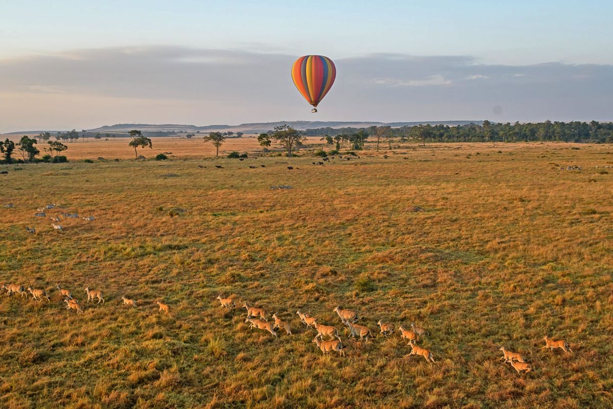 Balloon safari drifting over the Mara at dawn