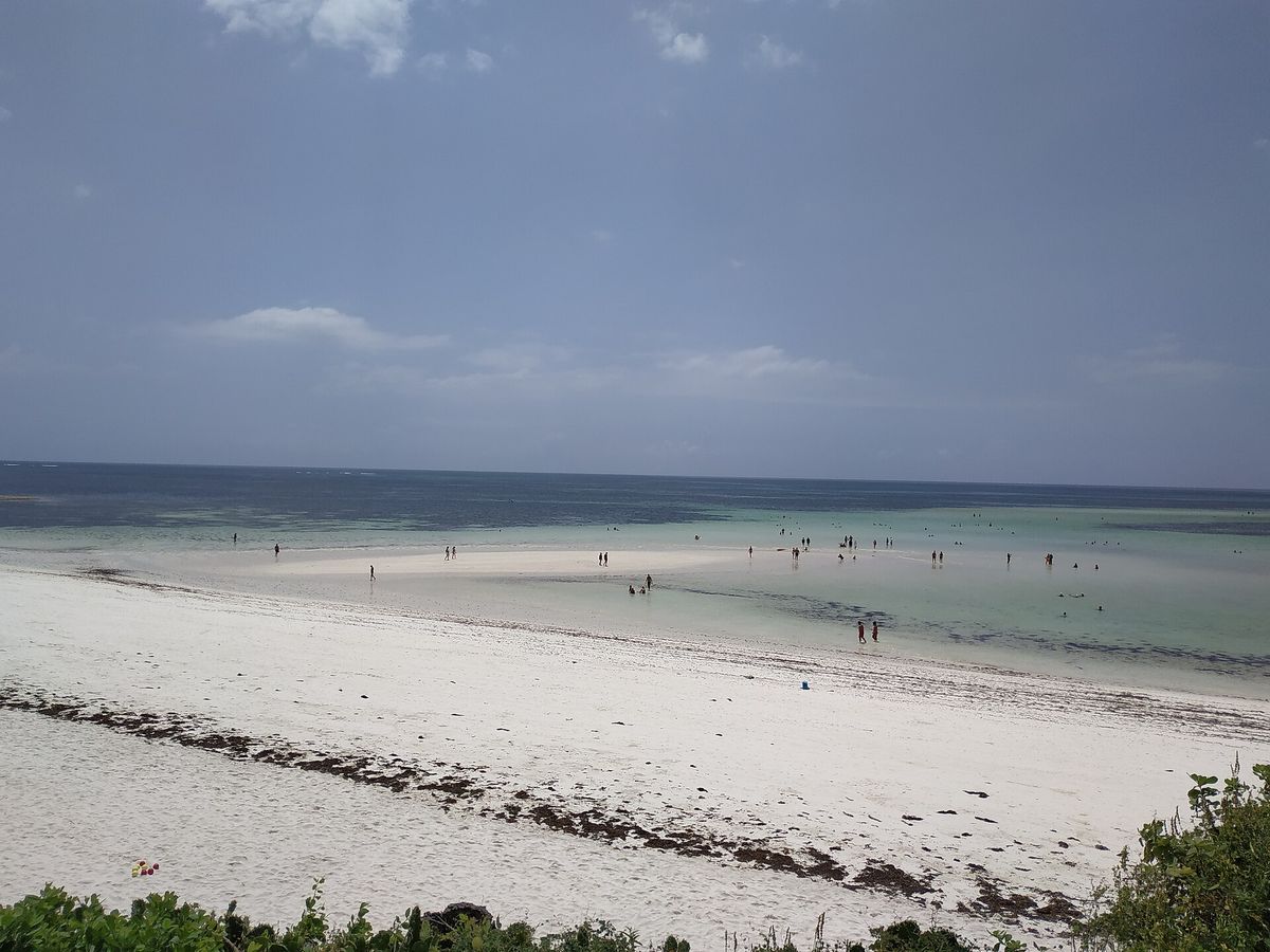 Palm-lined beach on the Kenyan coast