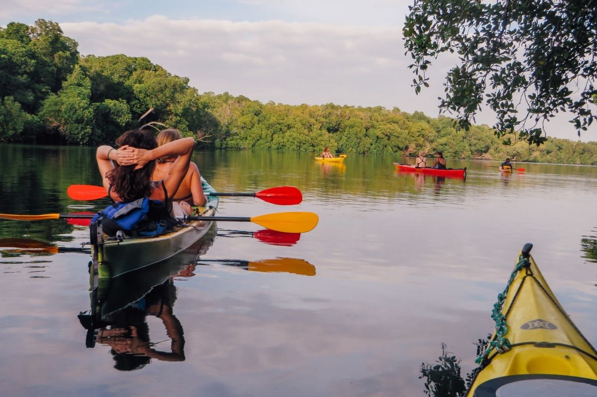 Kayaking through the mangroves at Watamu