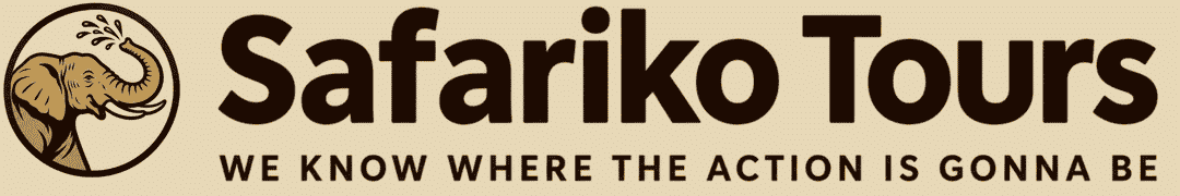 Safariko Tours