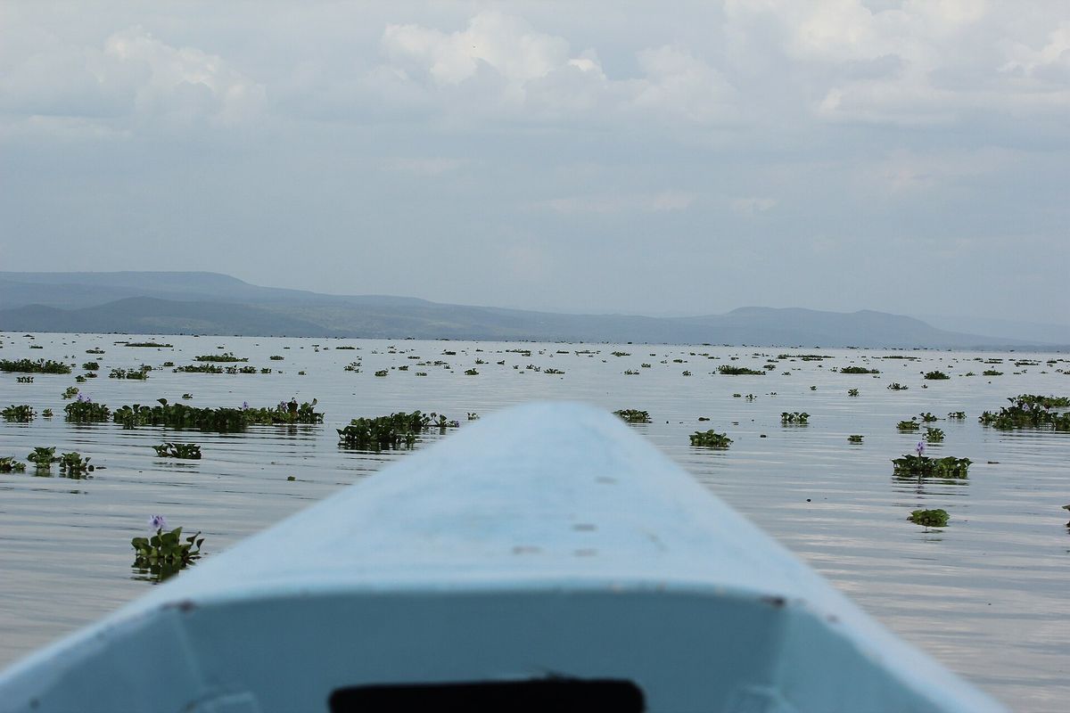 Boat on Lake Naivasha at calm water