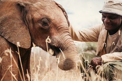 An orphaned elephant with its keeper, Nairobi