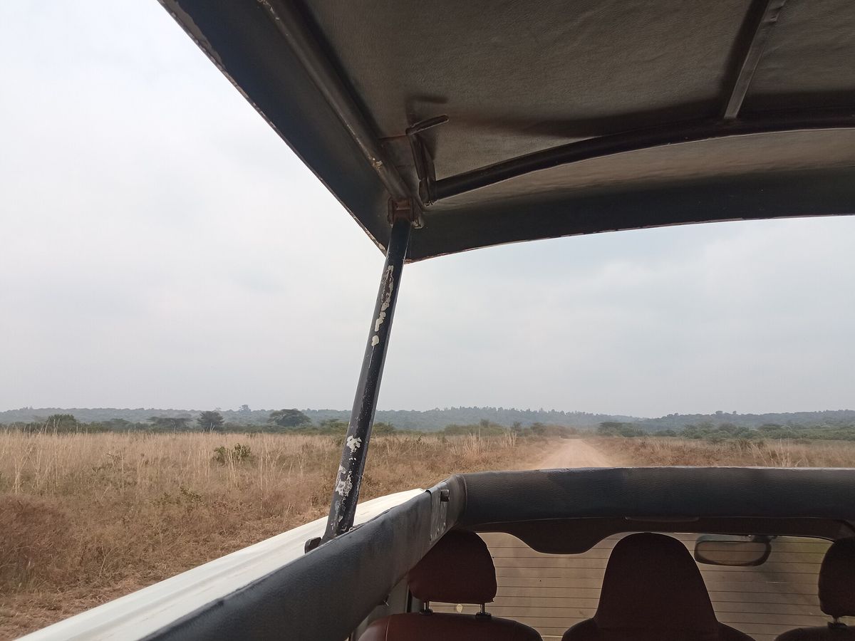 Nairobi National Park — wildlife with the city skyline behind